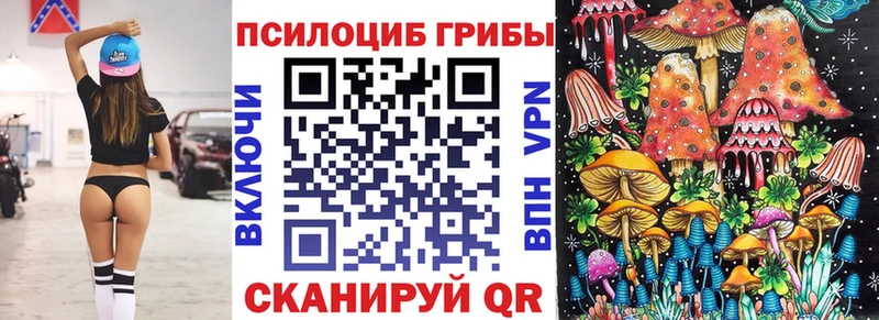 Купить где  Соль-Илецк  Псилоцибиновые грибы Cubensis 